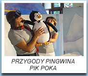 Przygody pingwina Pik Poka